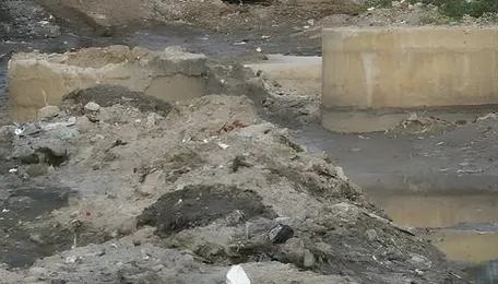 Bengaluru Waterway Safeguards Spark Urban Planning Questions