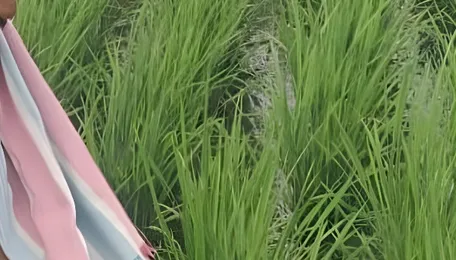Chemical effluents contaminate irrigation canal in Denduluru, farmers allege 