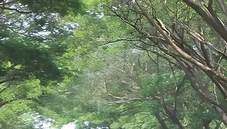 Chennai Karaikal Highway Upgrades Improve Regional Connectivity