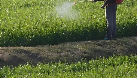 India’s biopesticide regulation must protect farmer rights, grassroots practices 