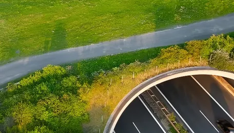 Innovative Highway Initiative Balances Safety and Wildlife Protection 