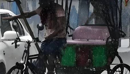 Kolkata Kalbaisakhi Weather Disrupts Urban Infrastructure Systems