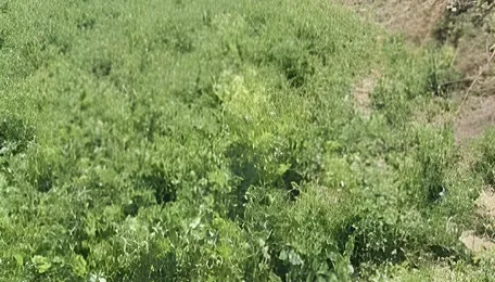 From Barren to Bountiful: How One Farmer's Determination, Backed by Govt Support, Turned His Land into Gold 