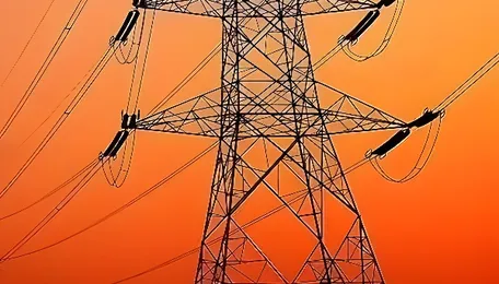 Maharashtra State Electricity Distribution Company Ltd becomes first utility in India to achieve 1,000 MW 