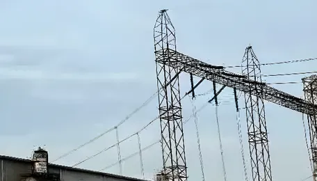 Evonith Steel Acquires 85 MW Power Plant