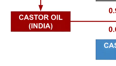 From India to Bio-Based Polyamides: How Indian Castor Seed Prices Shape the Supply Chain 