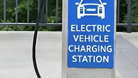 Centre speeds up EV, critical minerals push to cut oil reliance​ 