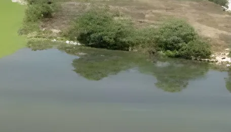 Hyderabad Lakes See New Plan For Safer Immersions