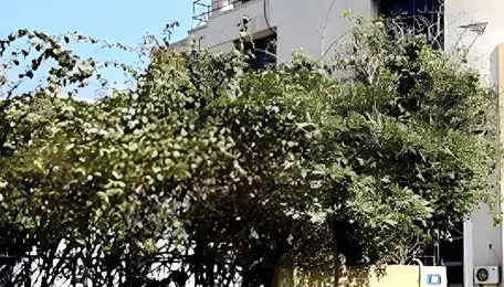 Gurugram MCG Seals Four Properties Over Eighty Nine Lakh Tax Dues