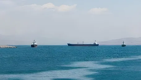 Wall Street Journal: Strait of Hormuz Crisis Drives Global Coal Consumption 