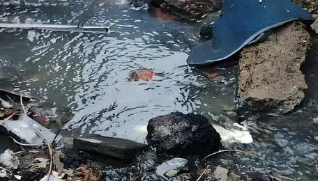 Chennai Perambur Residents Demand Waste Action
