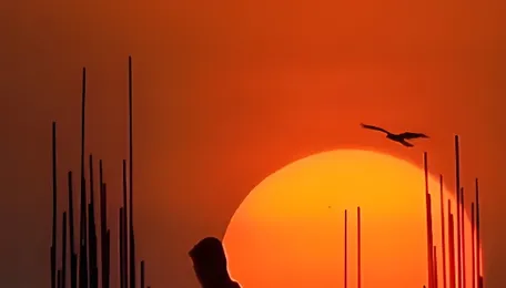 Sunshine deficit is a rising problem 