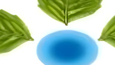 Tanfac Industries to set up 20,000 TPA fluorinated chemical manufacturing unit