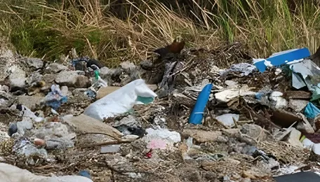 Kolkata Waste Management Push Gains Regulatory Attention