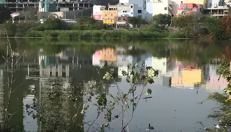 Hyderabad Lake Revival Advances Sustainable Urban Water Management