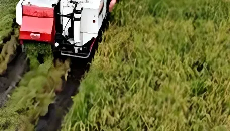 Punjab Agri Infrastructure Expansion Strengthens Farm Supply Chains