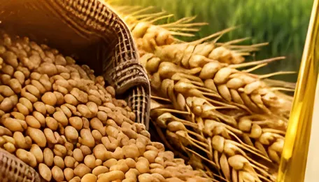 India’s Ethanol Supply Reaches 8.95 bn Litres in August