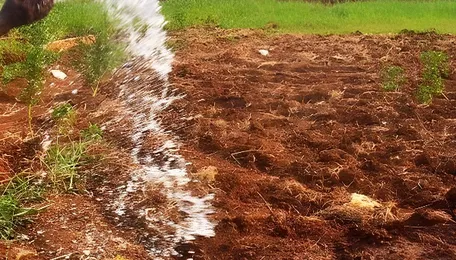 Nashik farmers urged to remove auto-switches from agri pumps 