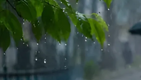 Delhi NCR Rain Pattern Signals Monsoon Turn
