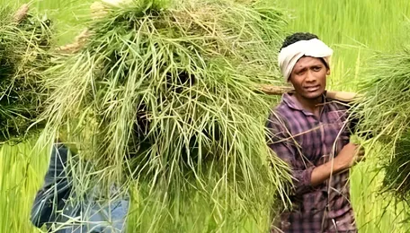 India's Agro-Chemical Companies Seek Data Protection Law To Expedite Farm Innovation 