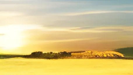 Wheat leads grains higher with Black Sea war risks in focus