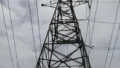 Kolkata Power Utility Gains Amid Urban Expansion