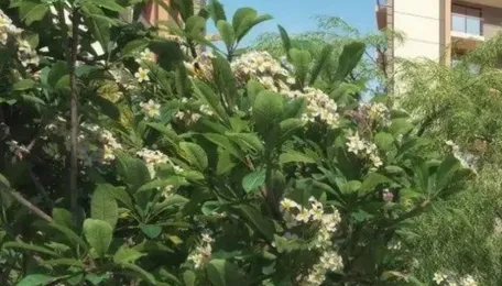 Chennai Real Estate Focus Shifts to Senior Housing