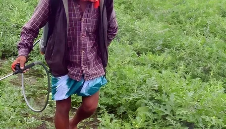 Iran war impact: Pesticide industry warns of price rise, spread of fake materials 