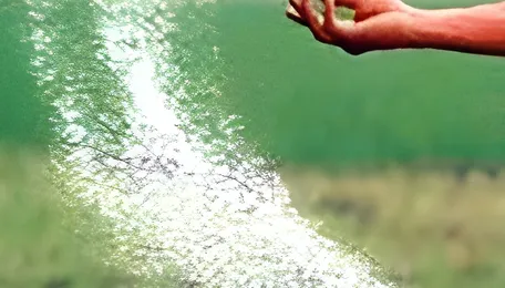 EU suspends fertiliser tariffs for one year to cut costs and reduce Russian dependency 