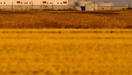 Trade Zone: Potash, peas and power sources - 