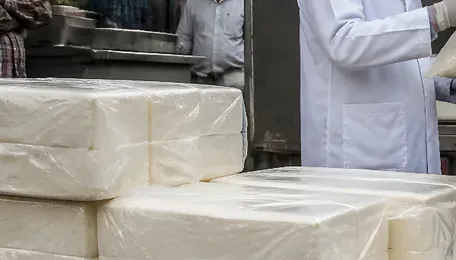 Pune FDA Paneer Seizure Exposes Festive Food Safety Risks