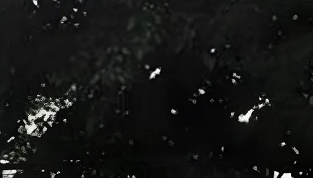 NGT notice to govt after second petition against Bengaluru's tunnel road 