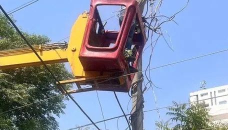 Branches entangled with power lines give Ludhiana residents scare 
