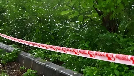 Adani Group lowest bidder for both packages of Bengaluru tunnel road project 