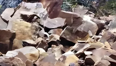 Tripura Rail Disrupted by Massive Landslide