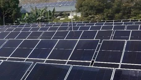 Bhaskar Jyoti India Commissions 1.4 MW Rooftop Solar Project at NCL in Madhya Pradesh 