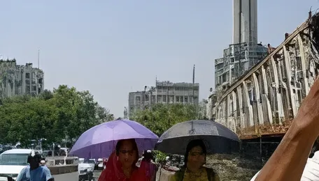 Ahmedabad Heatwave Persists As Temperatures Stay Elevated