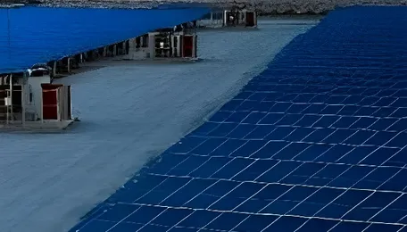 President of an India-backed power company declared COD... 
