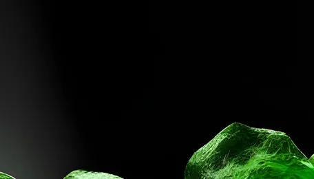 Ammonia body flags ‘urgent public-interest concern’ after Indian govt advisory on gas use