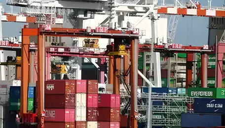 Supply woes spur call for easing quality curbs on critical imports