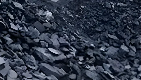 Coal India keen to develop 3 coalfields in Bangladesh - daily