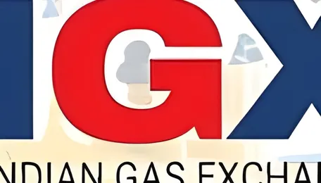 Indian gas price index up 19% in May on higher spot prices