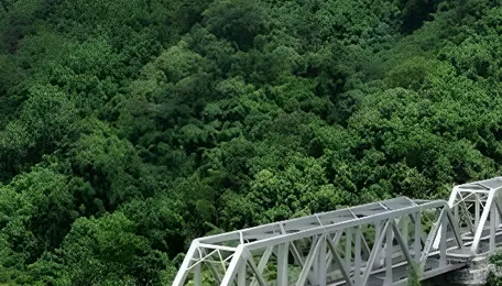 SAIL Supplies 15,000 Tonnes of Steel for Mizoram's Bairabi-Sairang Railway Project 