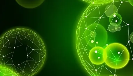 Chemicals in biofuels: The next decade belongs to multi-use molecules 