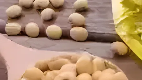 India's oilmeals exports fall 42 pc in January on weak soyabean, rapeseed shipments