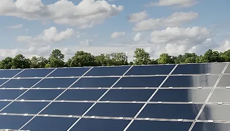 Assam’s solar push for India’s Forex resilience - The Sentinel 