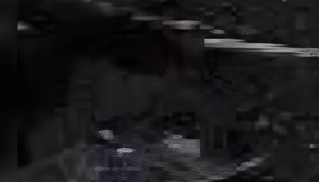 Centre to set up coal exchanges to promote competitive markets as production rises 