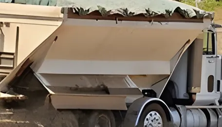 India plans to purchase fertilizers and raw materials 