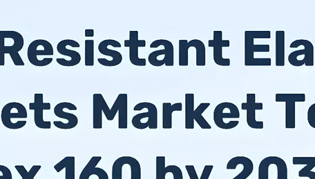 Oil-Resistant Elastomer Sheets Market To Hit 160 Index by 2035 on Automotive Sealing Demand - News and Statistics 