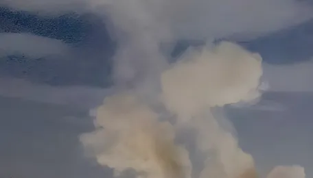 Survival sense in the time of war 